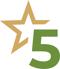premium partner icon 2